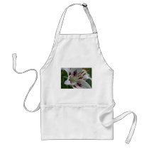 lilly aprons