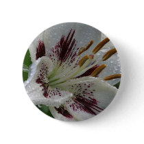 lilly button