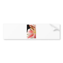 lilly close up bumper stickers