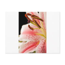 lilly close up post card