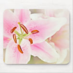 Lilly flowers mousepads