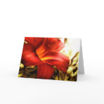 Lilly Greeting Cards