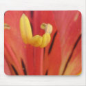 Lilly Inside mousepads