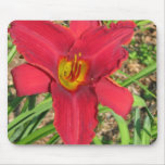 lilly mousepads