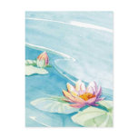 lilly pad postcard