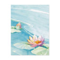 lilly pad postcard