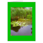 Lilly pad pretty day card