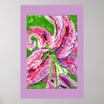 Lilly  posters