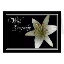 Lilly Sympathy/Condolence Car Greeting Cards