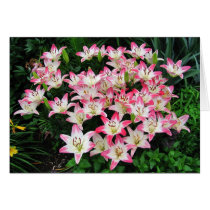 Lily 42 ~ card