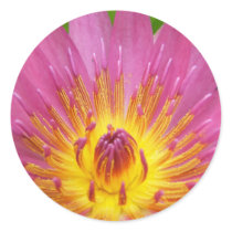 Lily Ablaze Sticker