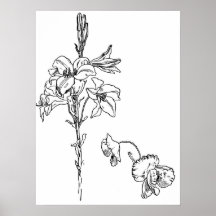 Lily and Poppy Flower Line Drawing Print