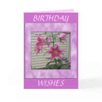 LILY BIRTHDAY WISHES CARDS