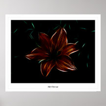 Lily Close-up Poster