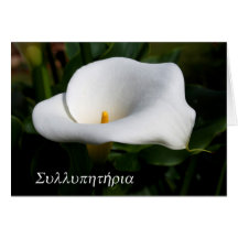 lily condolences greek greeting cards