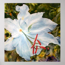 Lily Flower Fine Art Print