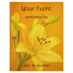 Lily Flower Full Color Flyer