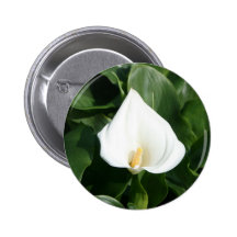 Lily growing at Calla Lily Plantation, Taiwan Pinback Buttons