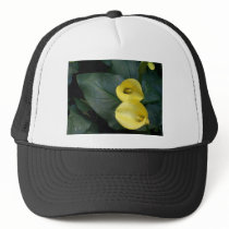 Lily Trucker Hats