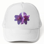 Lily hats