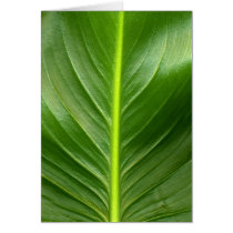 Lily Leaf Greeting Cards