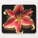 Lily mousepads