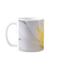 lily mugs