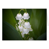 Lily-Of-The_Valley Cards