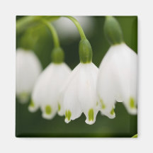 Lily of the Valley Magnet