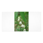 Lily-of-the-valley photo cards