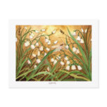 Lily-of-the-Valley postcards