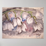 lily_of_the_valley posters