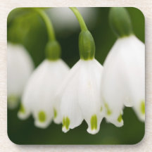Lily of the Valley  Set of Coasters