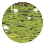 Lily pad stickers