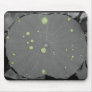 Lily Pad with Drops of Water pad