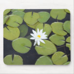 lily pad with mousepads