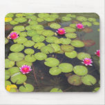 lily pad with pink flowers mousepads