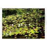 Lily pads II cards