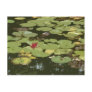 Lily pads Impressionism Art Postcards