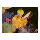 Lily Pads in Autumn Card