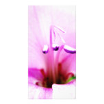 lily photo card