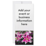 Lily Pink Lily Rac Card Rack Card