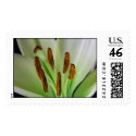 Lily Pods postage