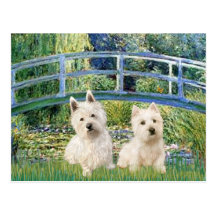 Lily Pond Bridge - Westies (two) Post Card