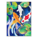 lily pond Koi cards