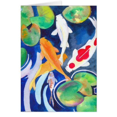 lily pond Koi Cards by dubhart