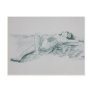 Lily Postcards