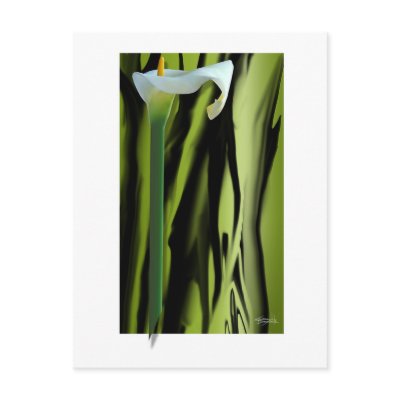 Lily Postcard by CherylDanielsart