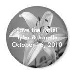 Lily, Save the Date magnets