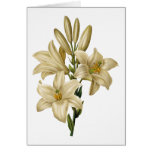 Lily Watercolor Thank You Card